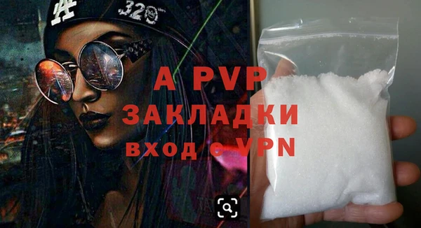 PSILOCYBIN Горнозаводск