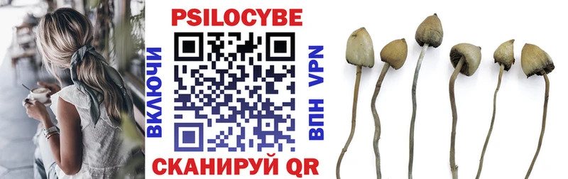 Псилоцибиновые грибы GOLDEN TEACHER  Мценск 